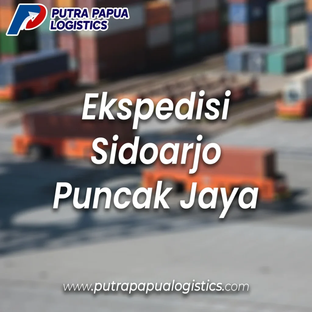 Ekspedisi Sidoarjo Puncak Jaya Murah